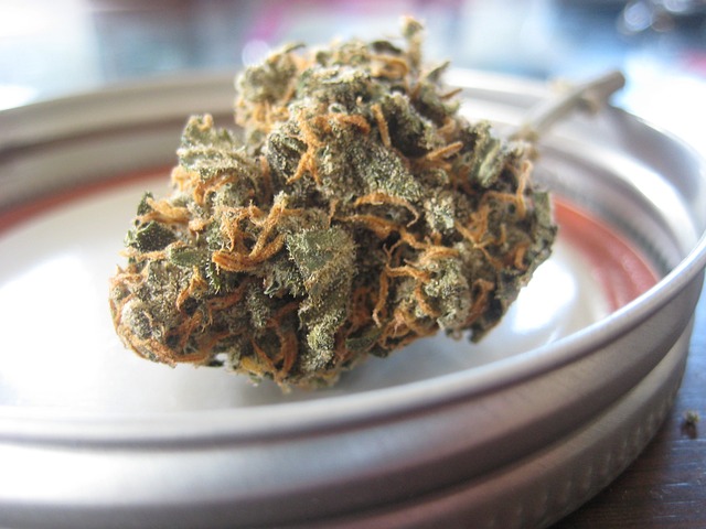 Les variétés les plus populaires de fleurs de CBD