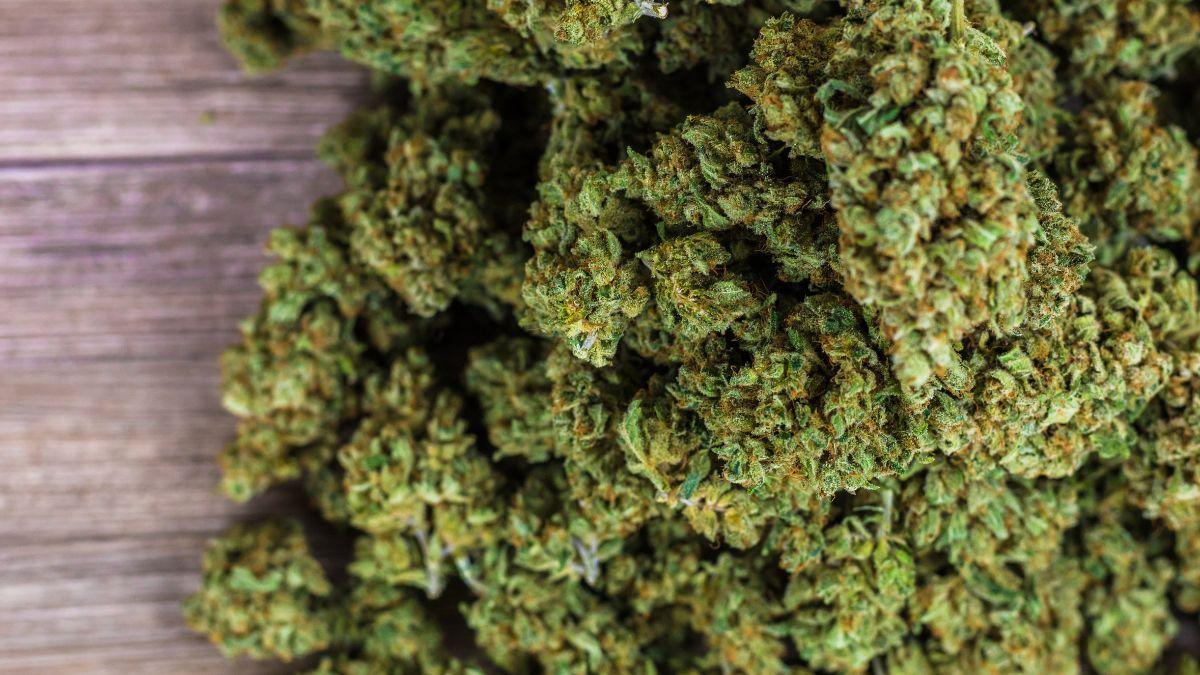 Comment utiliser des fleurs de cbd en cuisine ?