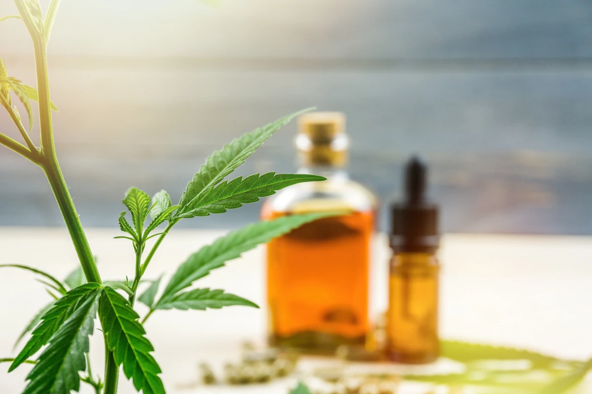 CBD: un rôle dans la gestion de la santé auditive?